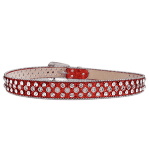 Westernbälte Silverfärgat med Strass och Nitar